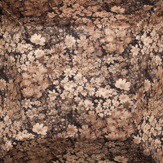 Equipo drt Prado 229 Vison