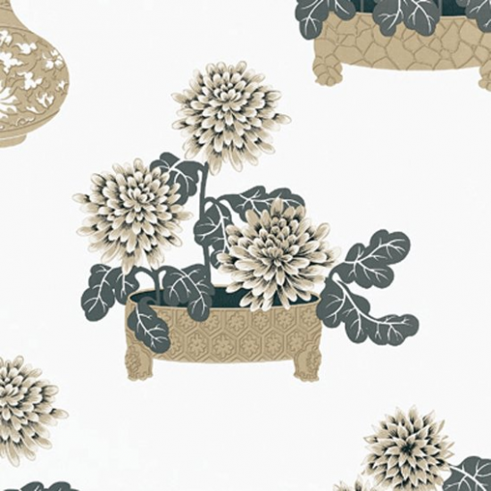 Equipo Drt Sayonara 002 Beige