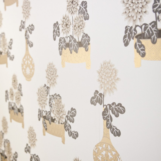 Equipo drt Sayonara 002 Beige