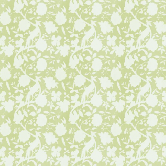 Equipo Drt Senso 002 Beige