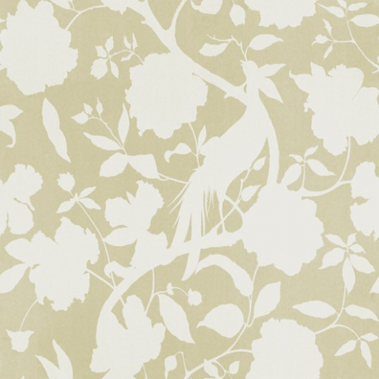 Equipo drt Senso 002 Beige