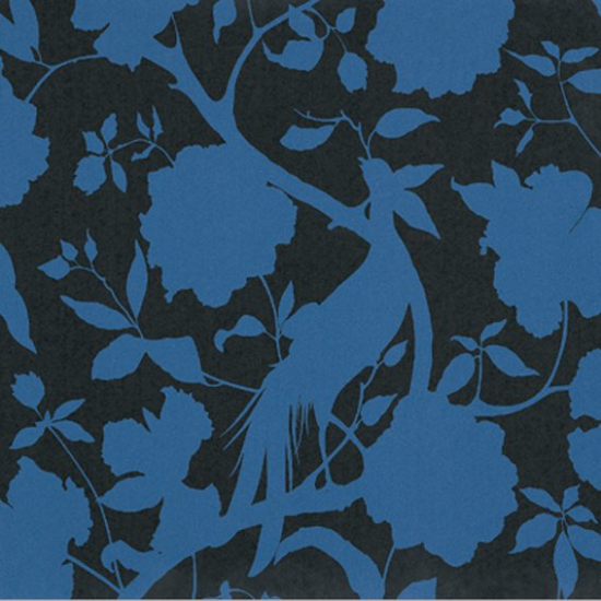 Equipo drt Senso 335 Azul