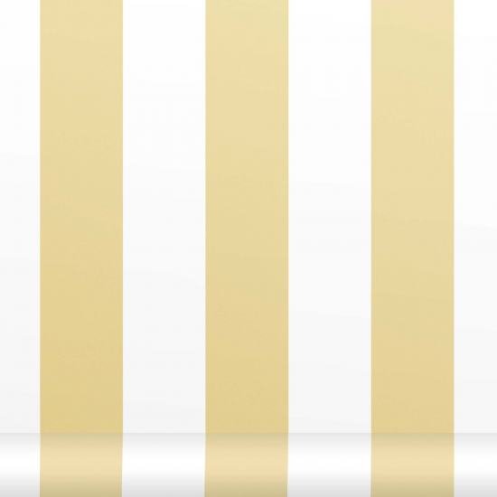 Equipo drt Siro 122 Mostaza