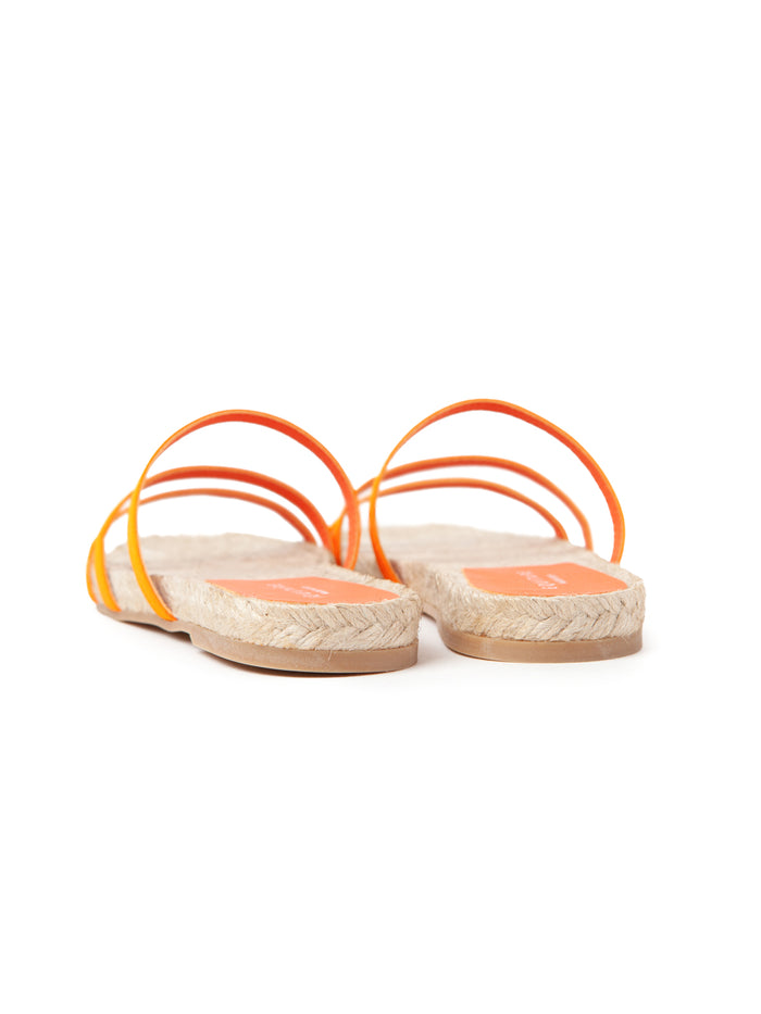 Equitare MER RASO C78