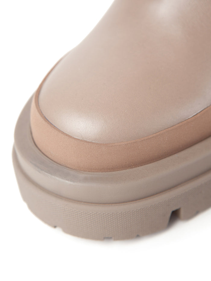 Equitare NORA - Camus Vison