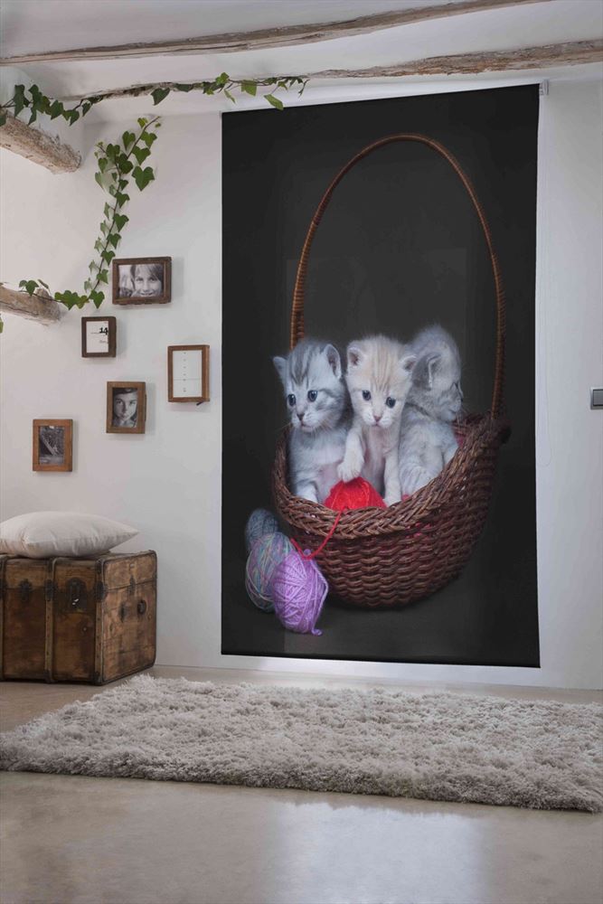 Estoralis A116 Estor Enrollable Digital