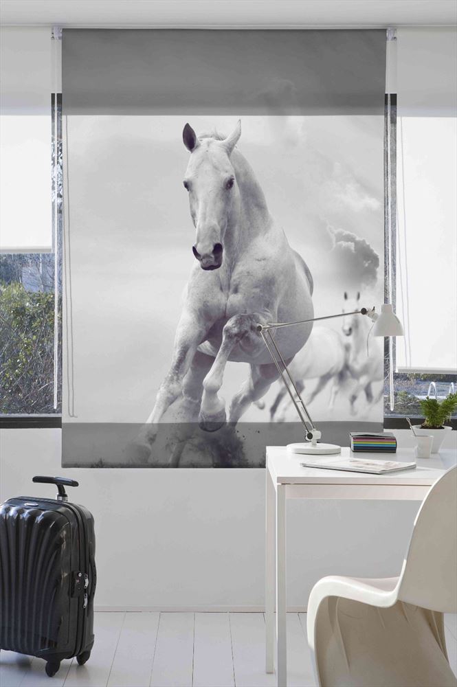 Estoralis A120 Estor Enrollable Digital