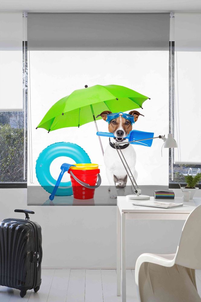 Estoralis A121 Estor enrollable digital