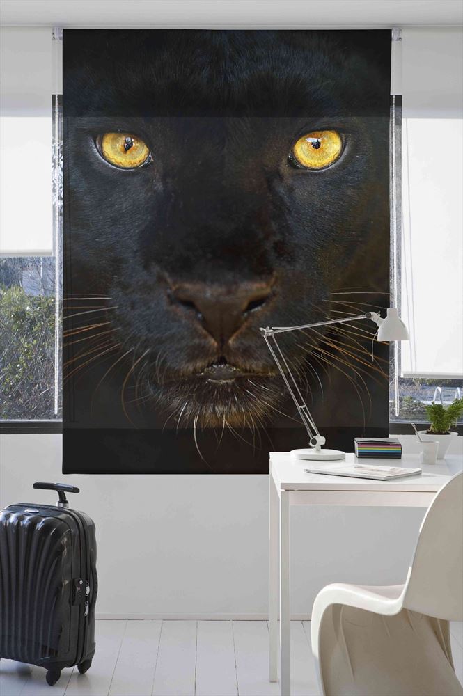 Estoralis A124 Estor enrollable digital