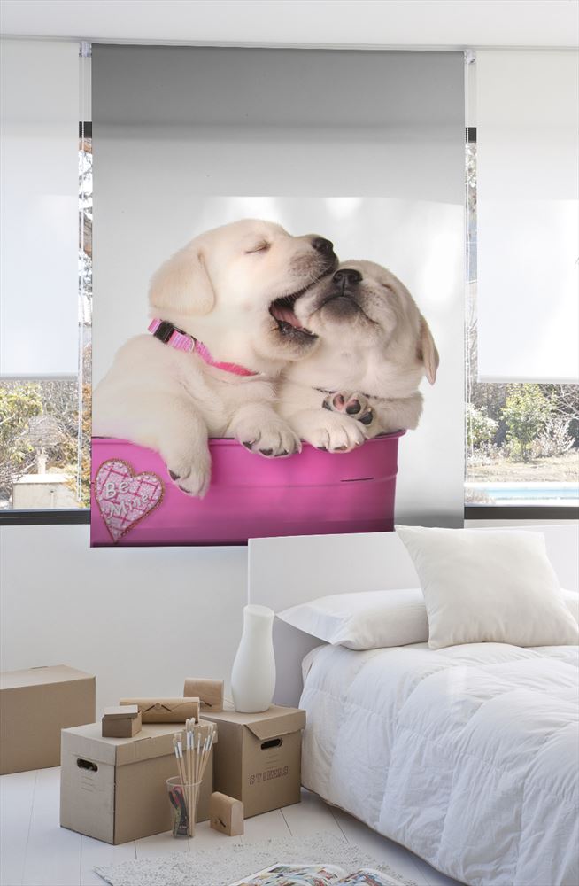 Estoralis A196 Estor enrollable digital