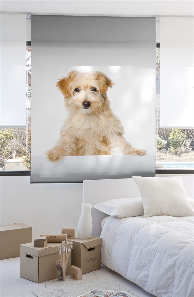 Estoralis A203 Estor enrollable digital