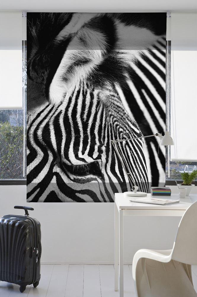 Estoralis A241 Estor enrollable digital