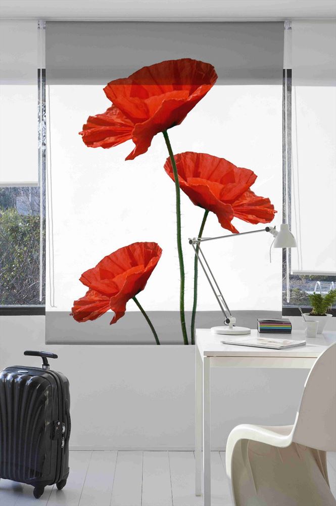 Estoralis F1044 Estor enrollable digital