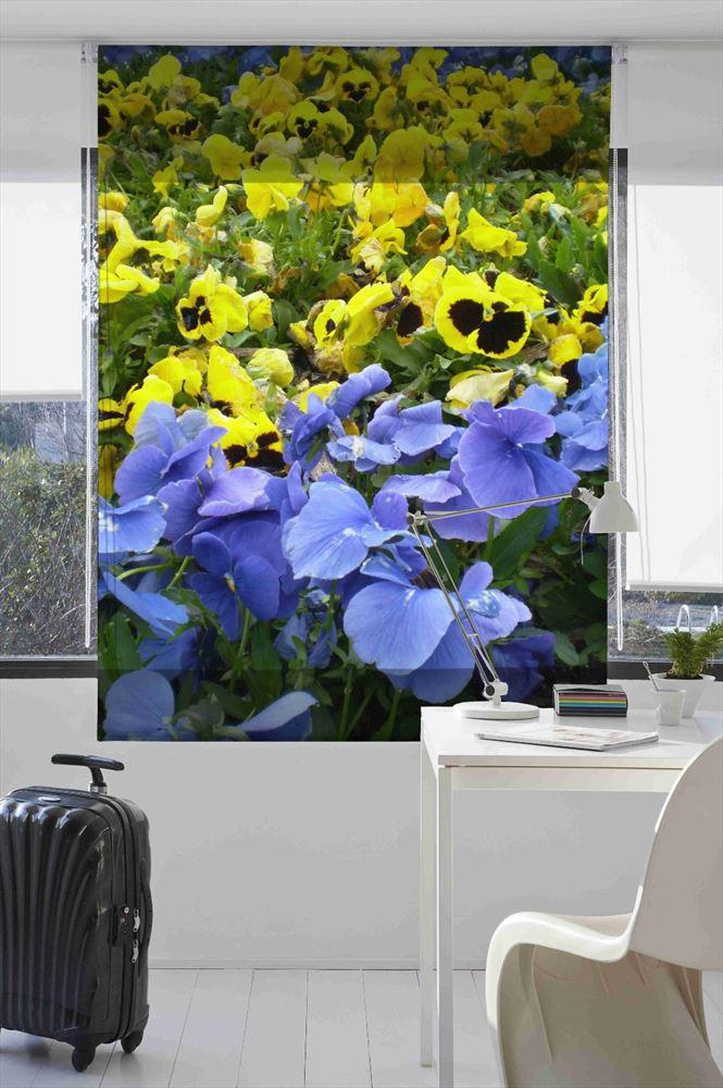 Estoralis F1047 Estor enrollable digital