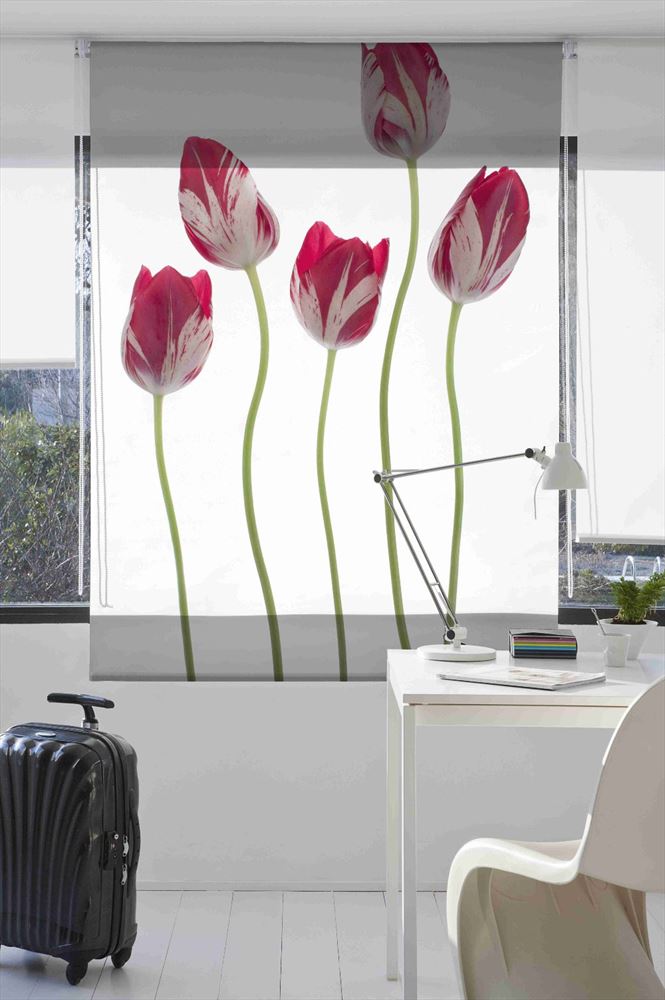 Estoralis F1136 Estor enrollable digital