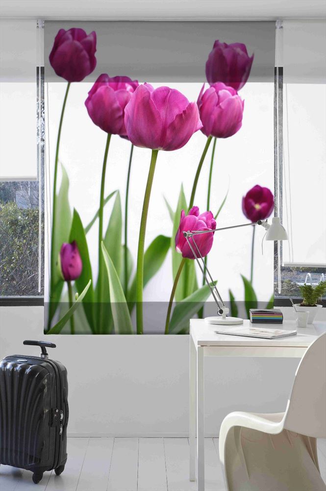 Estoralis F1502 Estor enrollable digital