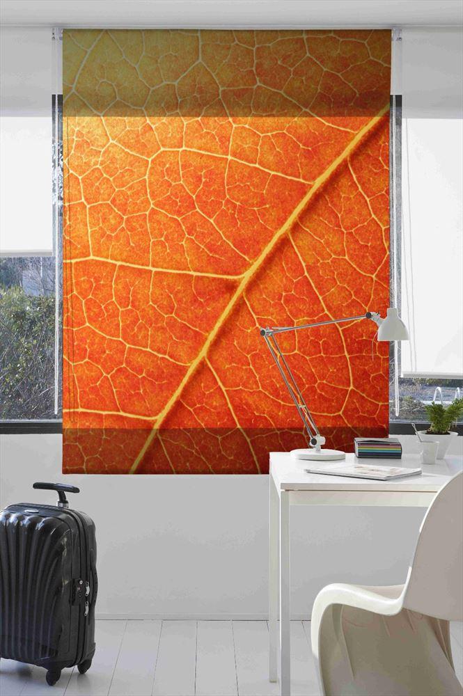 Estoralis F1504 Estor enrollable digital