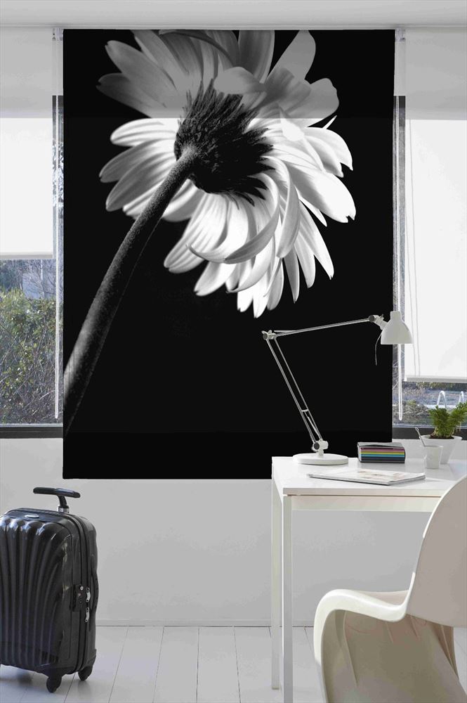 Estoralis F1505 Estor enrollable digital