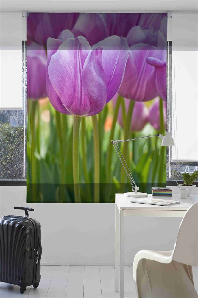 Estoralis F1517 Estor enrollable digital