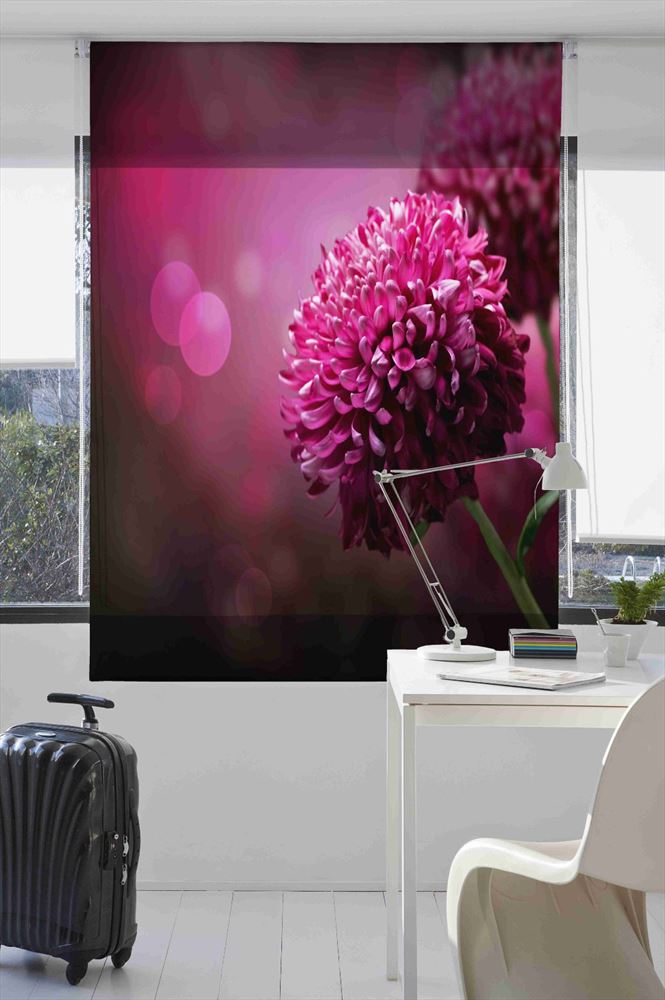 Estoralis F1518 Estor enrollable digital