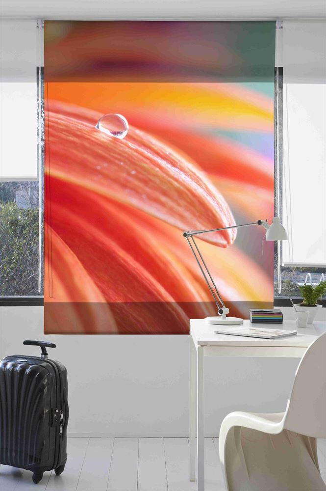 Estoralis F1521 Estor enrollable digital