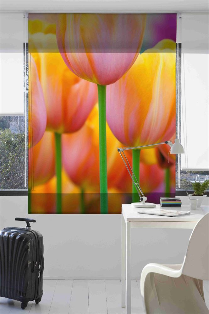 Estoralis F832 Estor enrollable digital