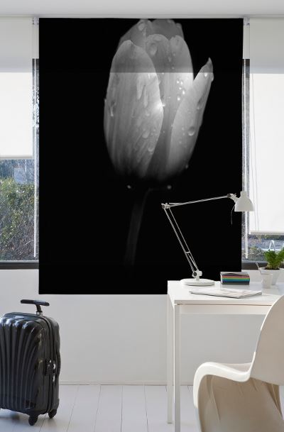 Estoralis F839 Estor enrollable digital