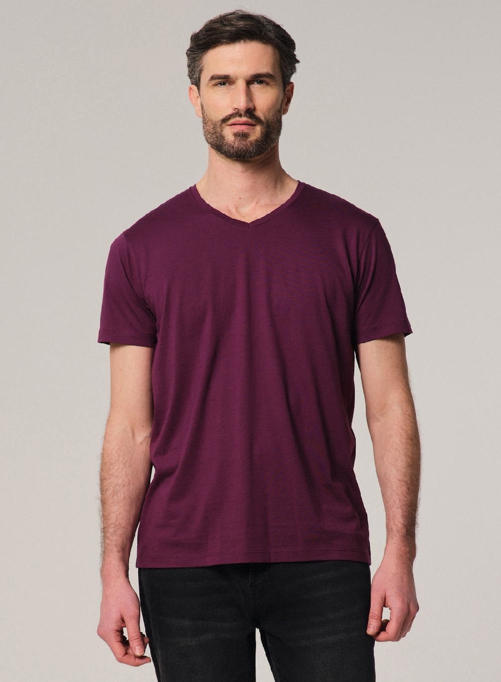 Etiqueta Negra Remera Luxury Cuello V