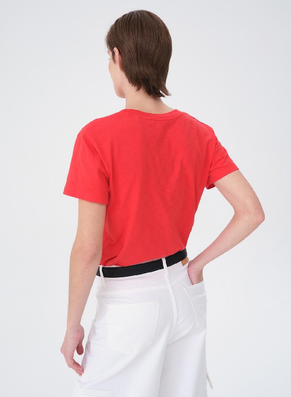 Etiqueta Negra Remera V Flame