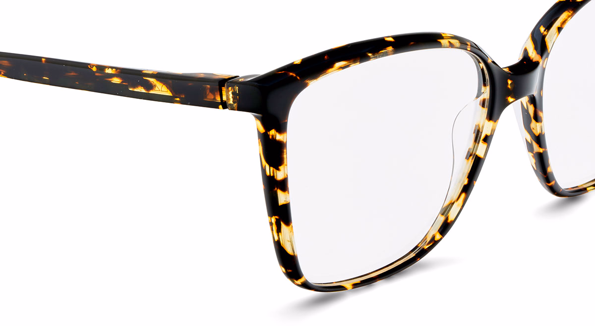 Etnia Barcelona ANCORA