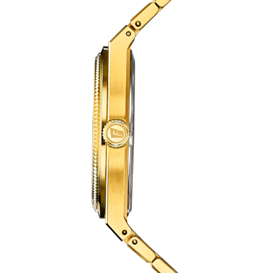 Festina RELOJ DE HOMBRE FESTINA SWISS MADE RIVÉ F20057/1 PLATEADO