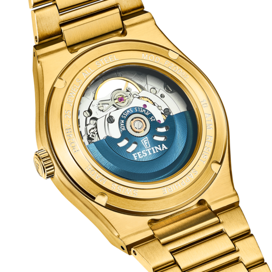 Festina RELOJ DE HOMBRE FESTINA SWISS MADE RIVÉ F20062/1 PLATEADO