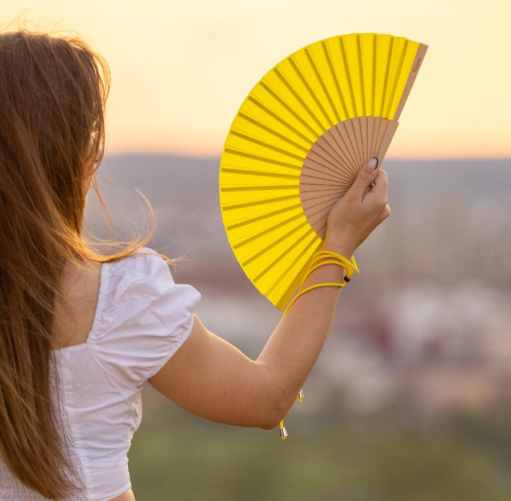 Fisura Abanico "lima"