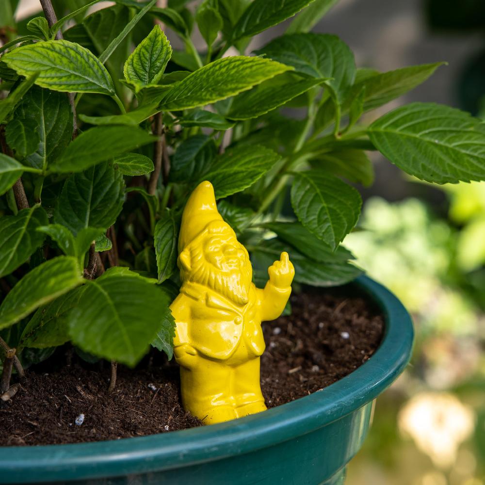 Fisura Autorriego Gnomo Amarillo