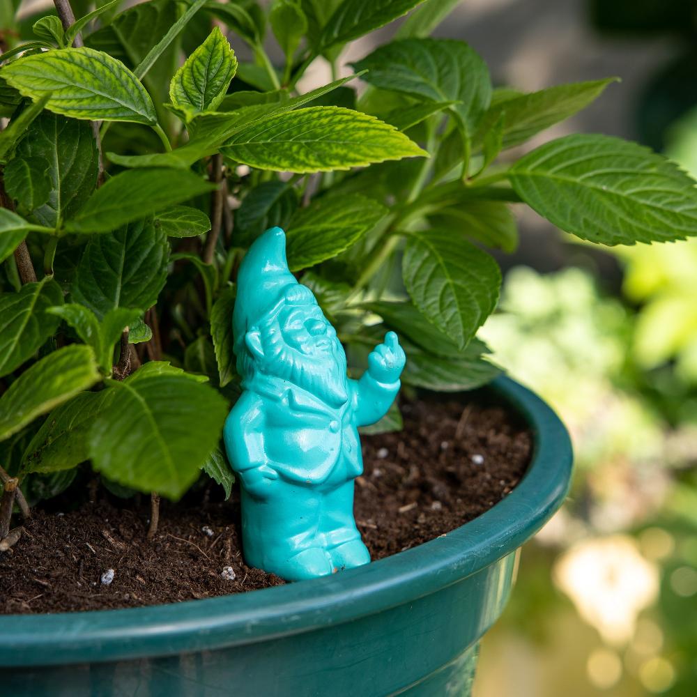 Fisura Autorriego Gnomo Menta