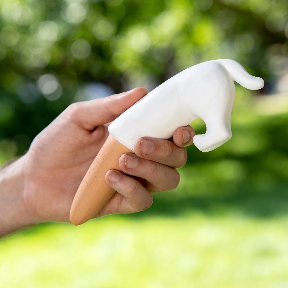 Fisura Autorriego Perro Blanco