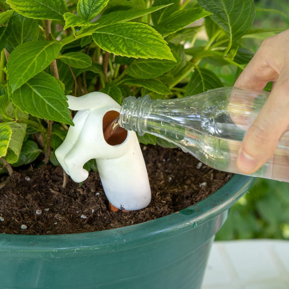 Fisura Autorriego Perro Blanco