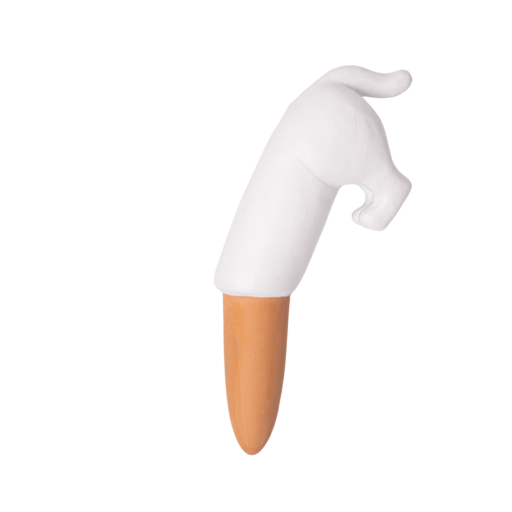 Fisura Autorriego perro blanco