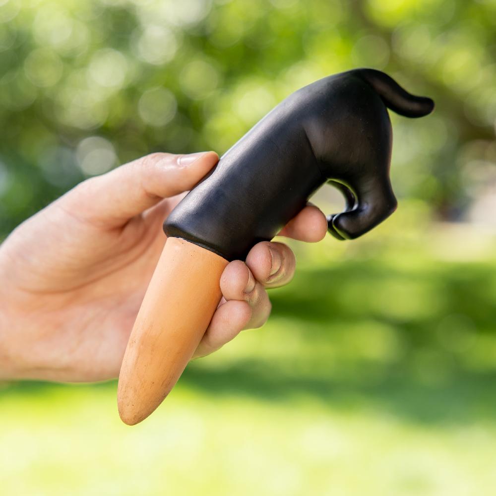 Fisura Autorriego Perro Negro