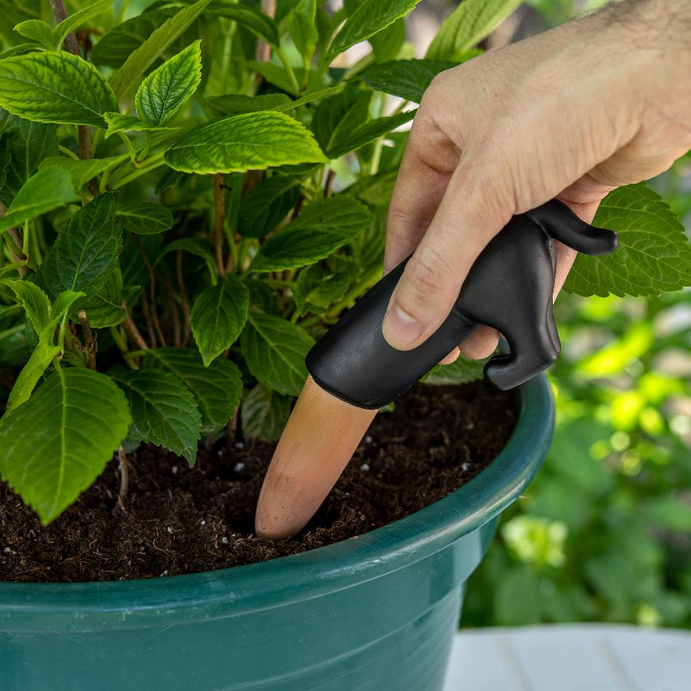 Fisura Autorriego Perro Negro