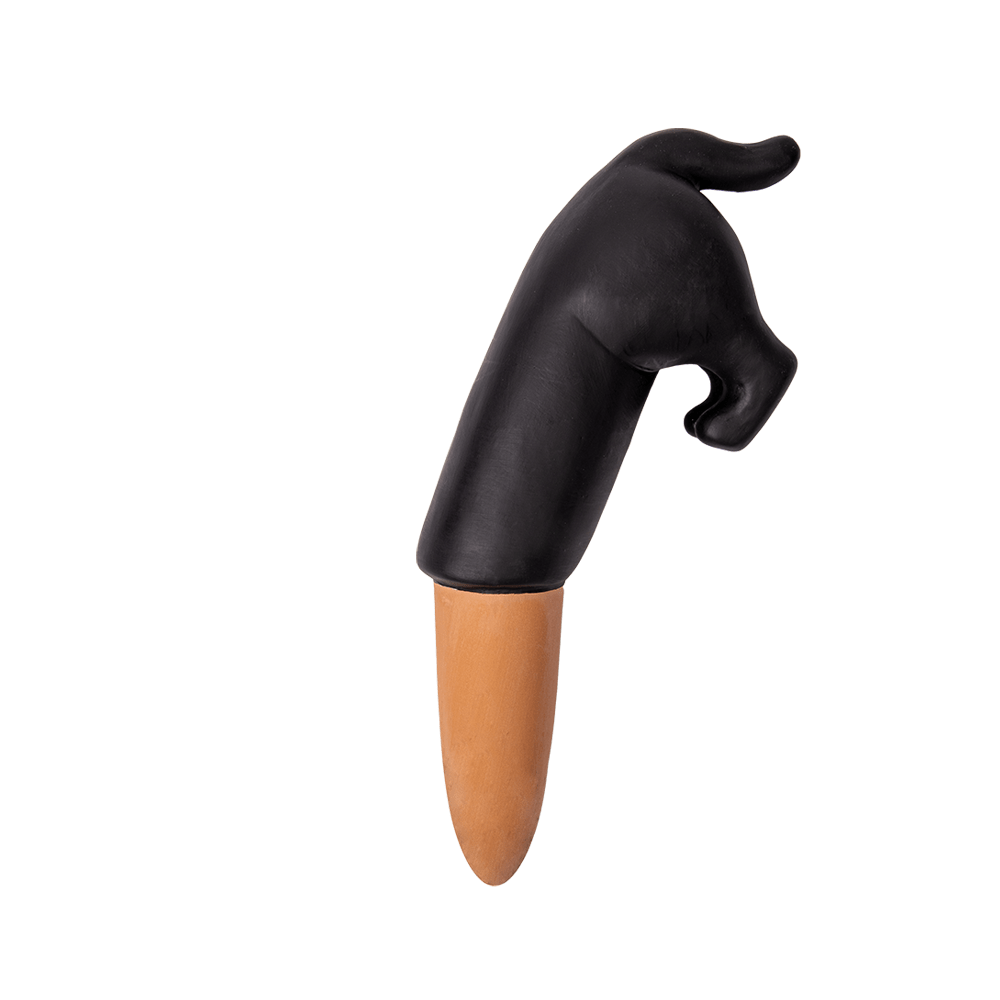 Fisura Autorriego perro negro