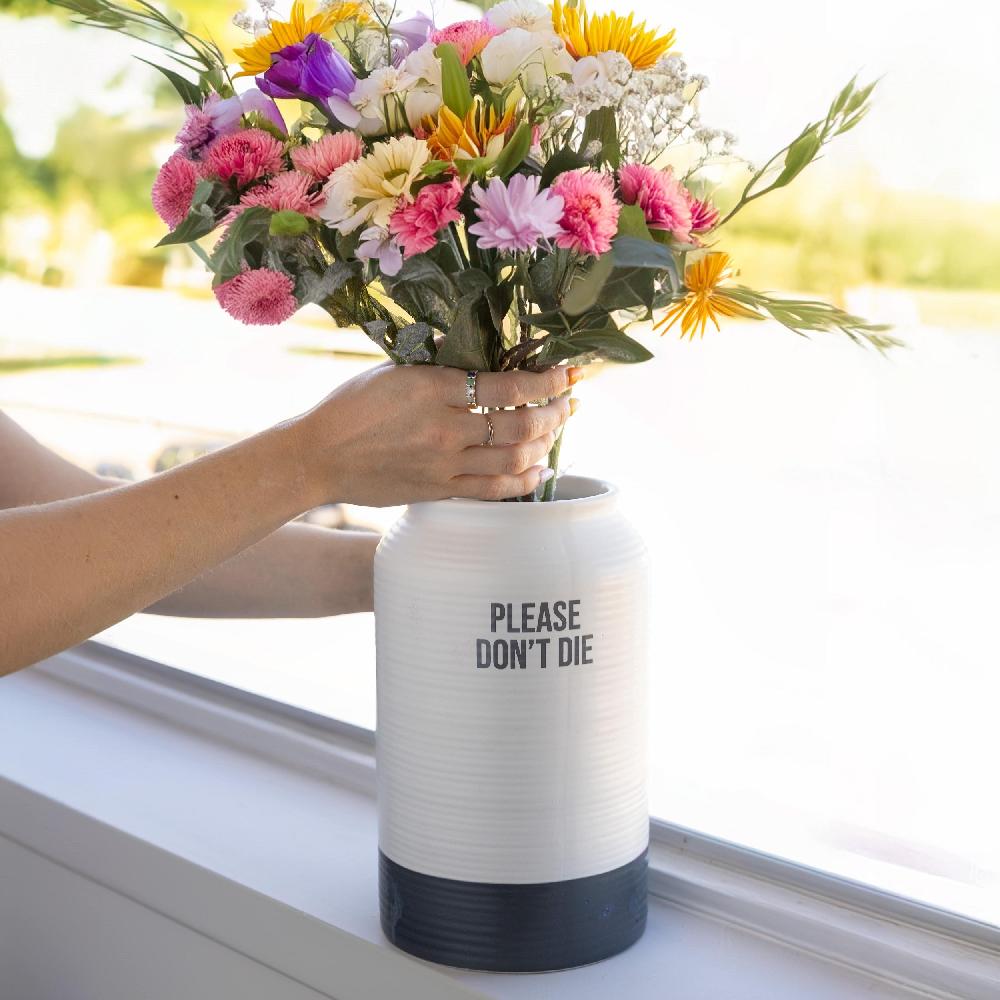 Fisura Jarrón "Please Don't Die"