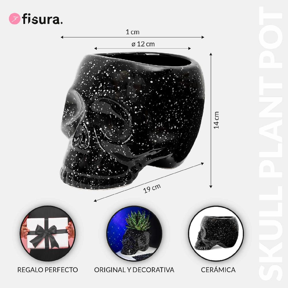 Fisura Macetero Calavera "galaxia"