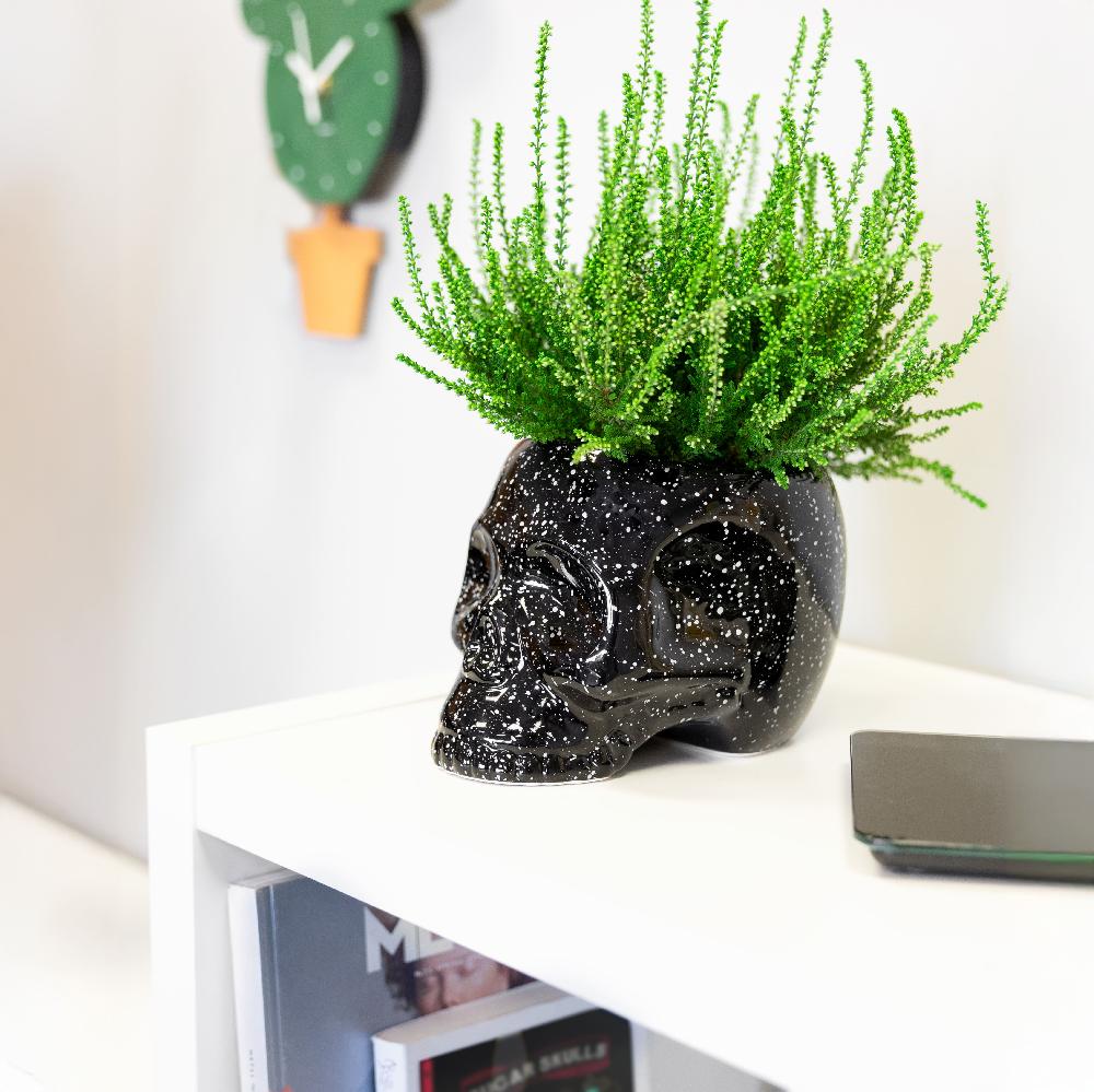 Fisura Macetero Calavera "galaxia"