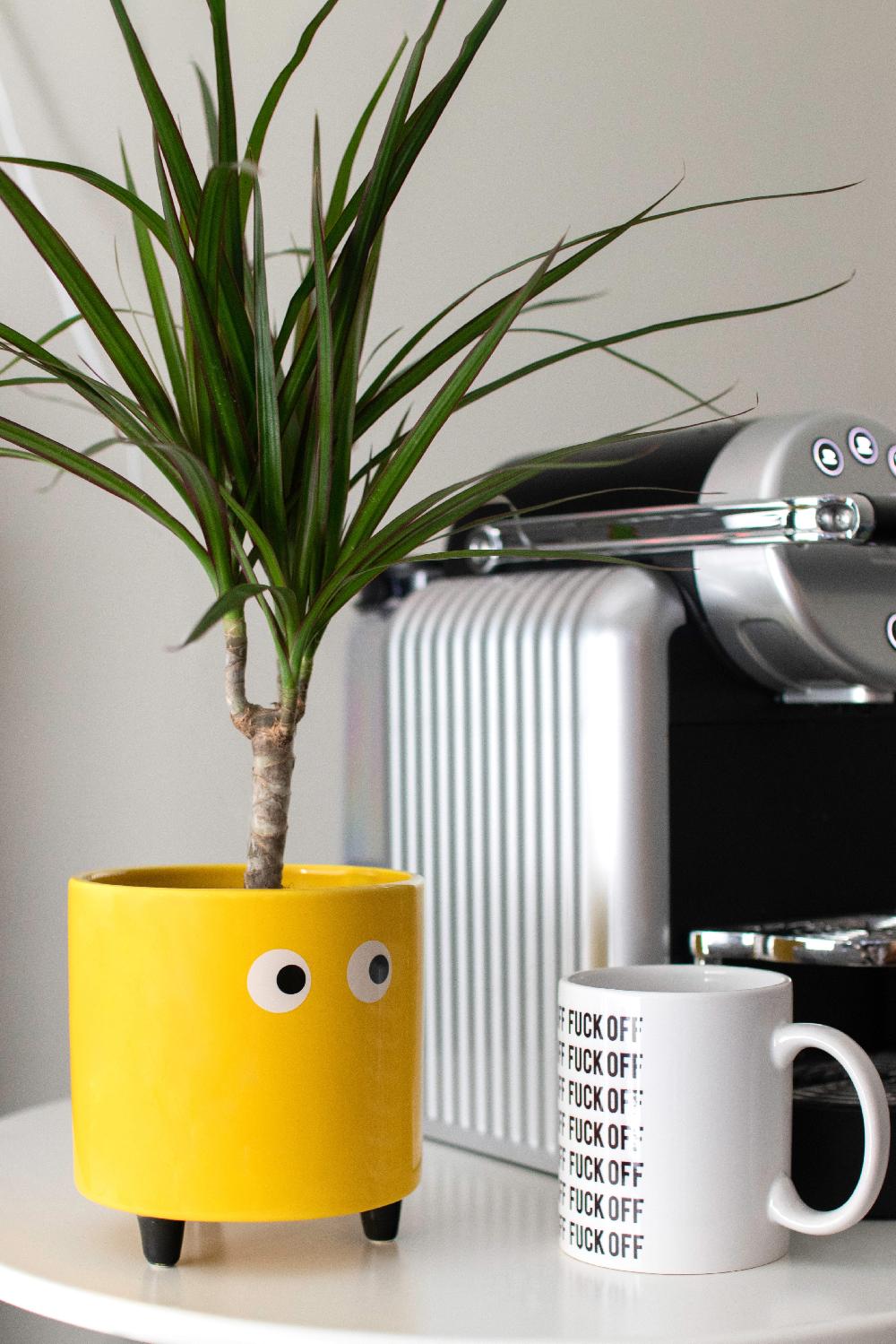 Fisura Macetero Con Ojos Amarillo