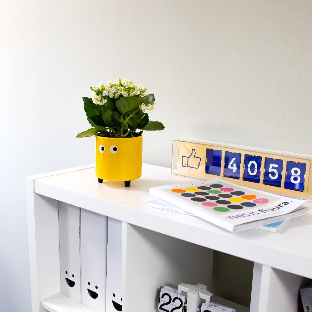 Fisura Macetero Con Ojos Amarillo