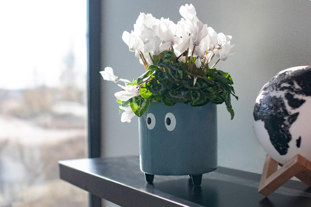 Fisura Macetero Con Ojos Azul