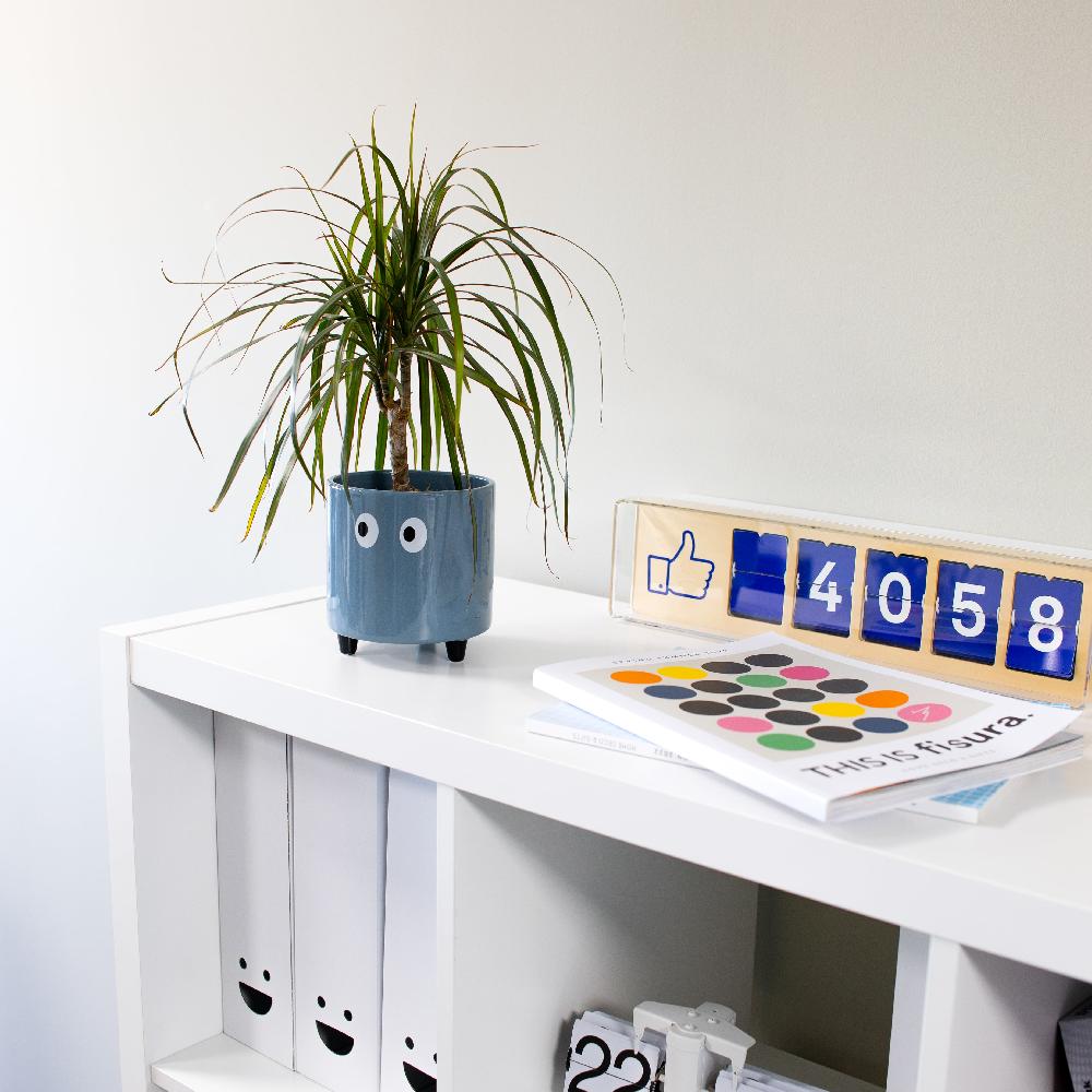 Fisura Macetero Con Ojos Azul