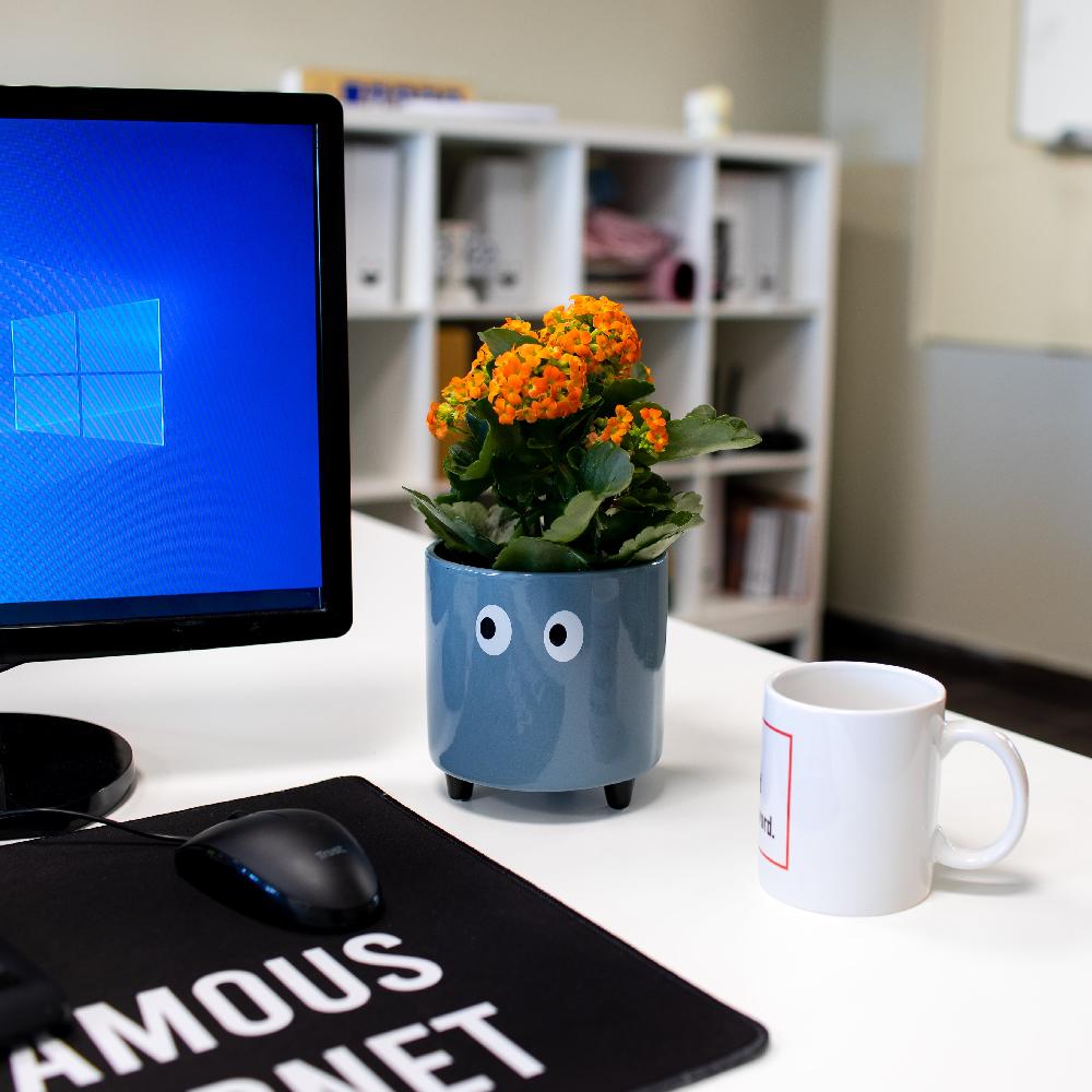 Fisura Macetero Con Ojos Azul