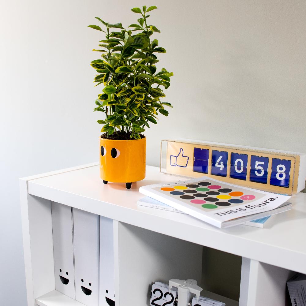 Fisura Macetero Con Ojos Naranja